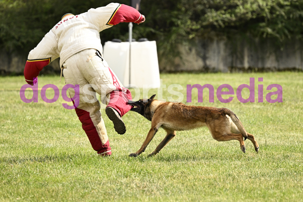 Preview _JRI_20764.jpg